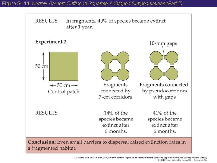 Figure 54. 14 Narrow Barriers Suffice to Separate Arthropod Subpopulations (Part 2) 