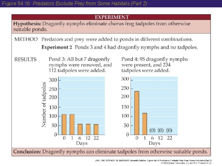 Figure 54. 16 Predators Exclude Prey from Some Habitats (Part 2) 