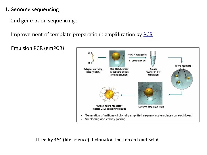 I. Genome sequencing 2 nd generation sequencing : Improvement of template preparation : amplification