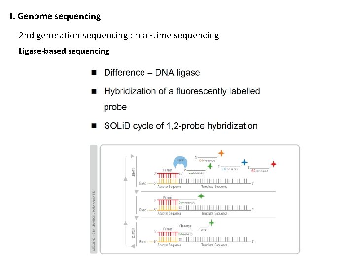 I. Genome sequencing 2 nd generation sequencing : real-time sequencing Ligase-based sequencing 