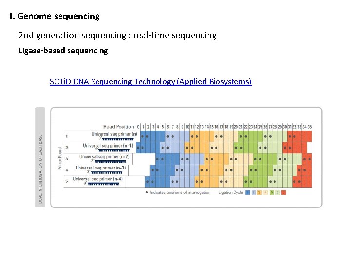 I. Genome sequencing 2 nd generation sequencing : real-time sequencing Ligase-based sequencing SOLi. D