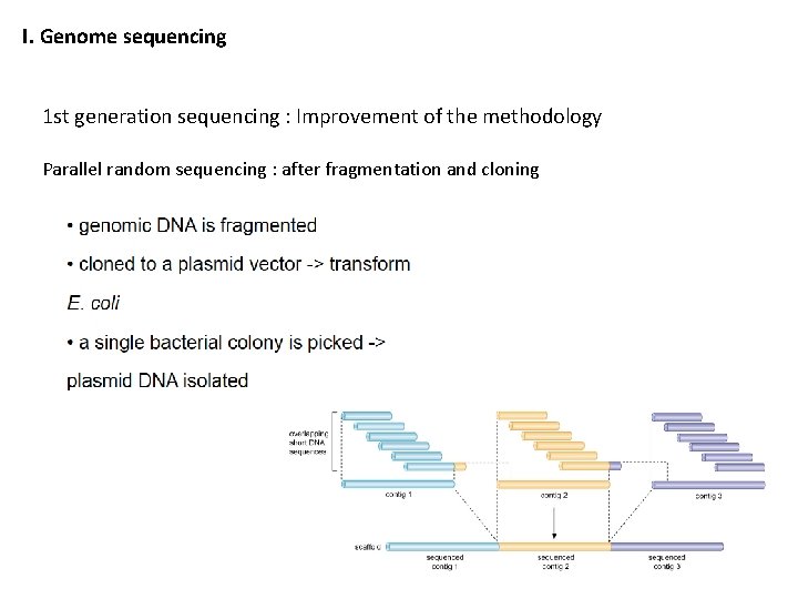 I. Genome sequencing 1 st generation sequencing : Improvement of the methodology Parallel random