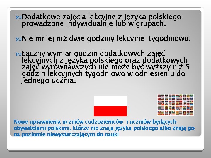  Dodatkowe zajęcia lekcyjne z języka polskiego prowadzone indywidualnie lub w grupach. Nie mniej