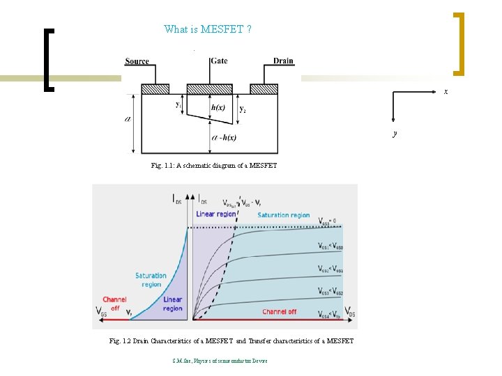 What is MESFET ? x y Fig. 1. 1: A schematic diagram of a