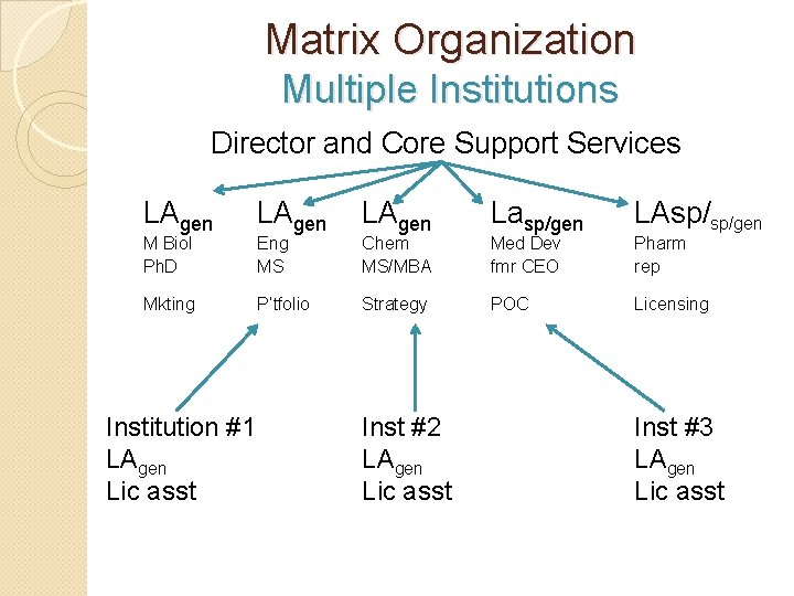 Matrix Organization Multiple Institutions Director and Core Support Services LAgen Lasp/gen LAsp/sp/gen Mkting P’tfolio