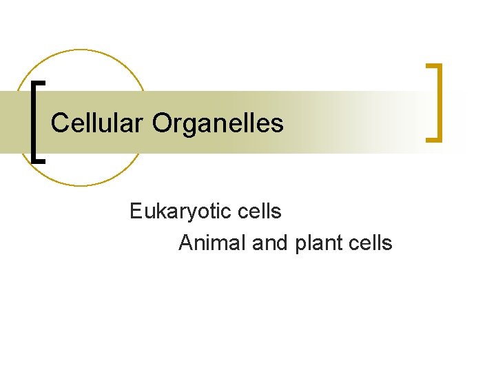 Cellular Organelles Eukaryotic cells Animal and plant cells 