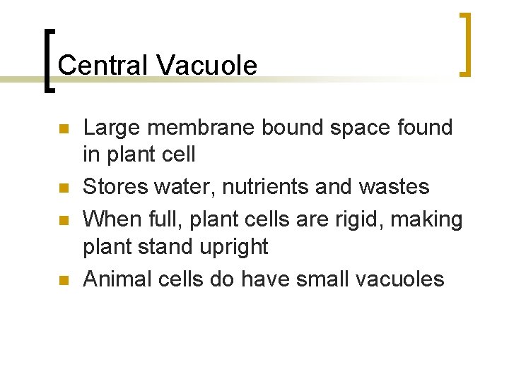 Central Vacuole n n Large membrane bound space found in plant cell Stores water,