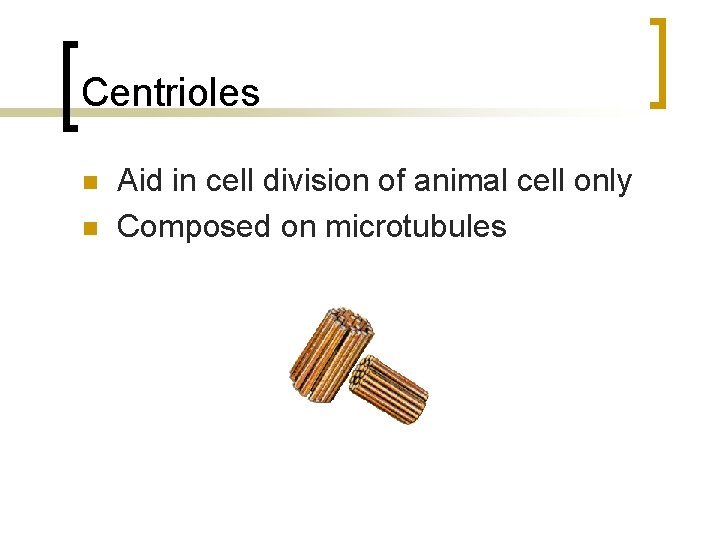 Centrioles n n Aid in cell division of animal cell only Composed on microtubules