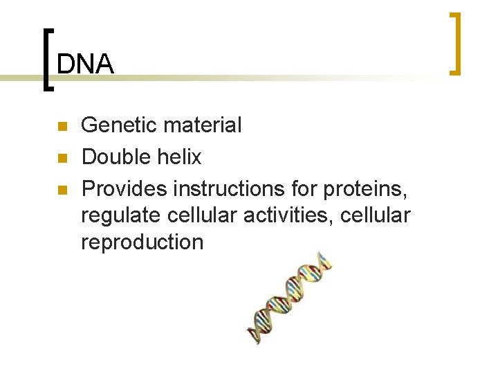 DNA n n n Genetic material Double helix Provides instructions for proteins, regulate cellular