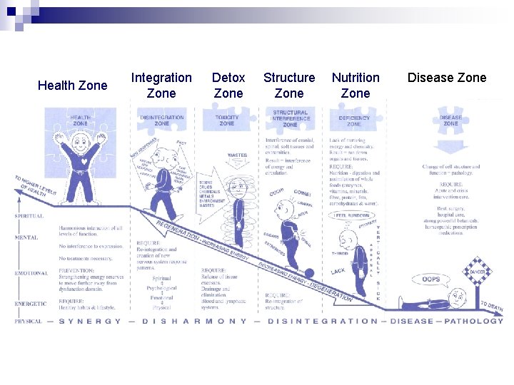 Health Zone Integration Zone Detox Zone Structure Zone Nutrition Zone Disease Zone 