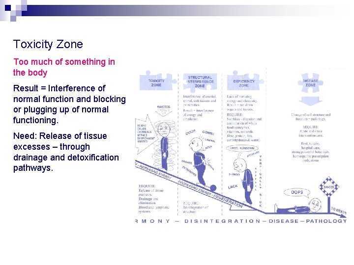 Toxicity Zone Too much of something in the body Result = Interference of normal