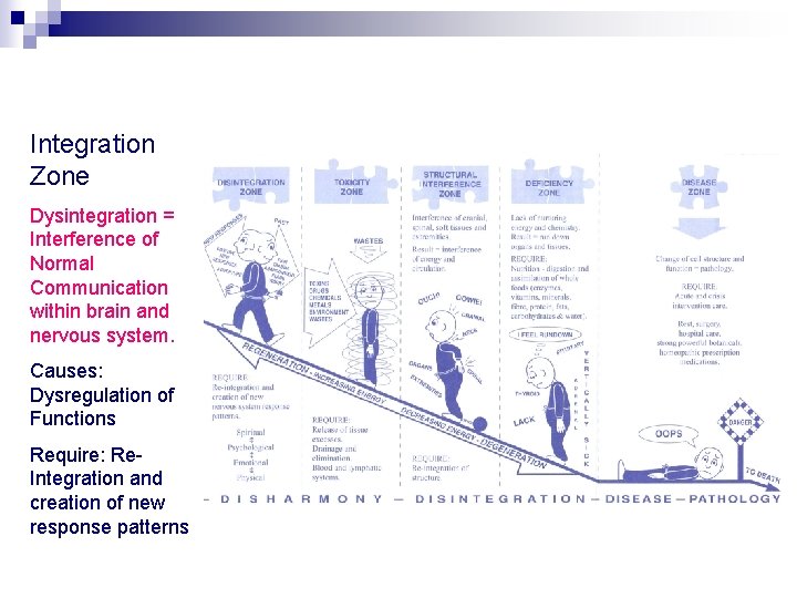 Integration Zone Dysintegration = Interference of Normal Communication within brain and nervous system. Causes: