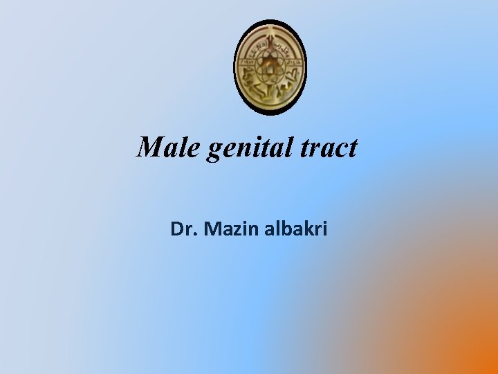 Male genital tract Dr. Mazin albakri 