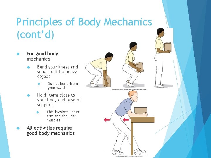 Principles of Body Mechanics (cont’d) For good body mechanics: Bend your knees and squat
