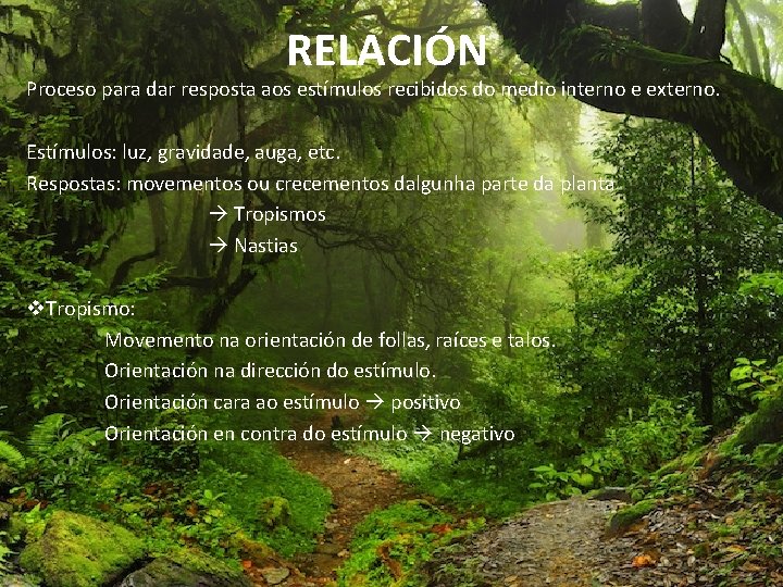 RELACIÓN Proceso para dar resposta aos estímulos recibidos do medio interno e externo. Estímulos: