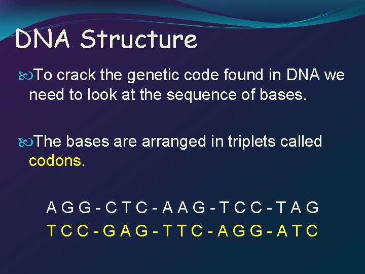 DNA Structure To crack the genetic code found in DNA we need to look