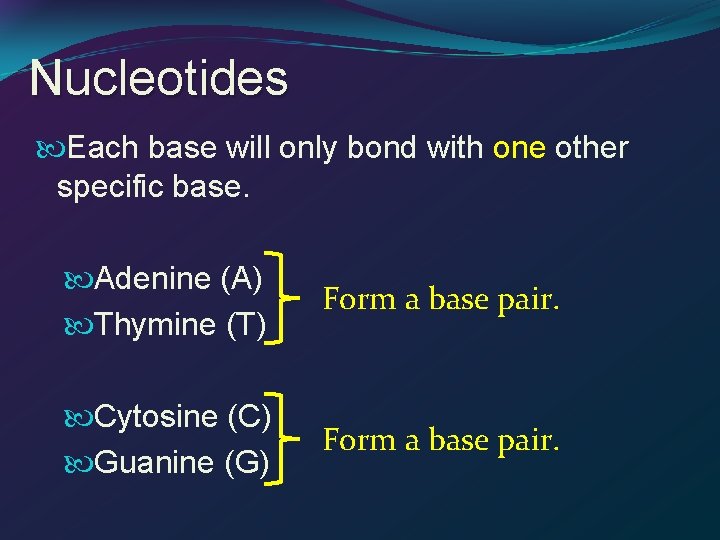 Nucleotides Each base will only bond with one other specific base. Adenine (A) Thymine