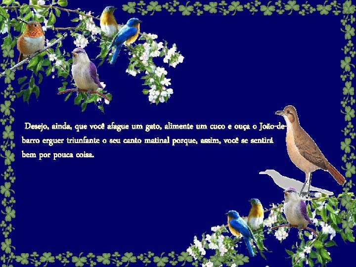 Desejo, ainda, que você afague um gato, alimente um cuco e ouça o João-debarro