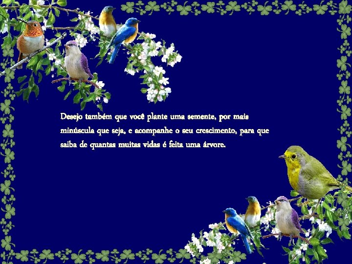 Desejo também que você plante uma semente, por mais minúscula que seja, e acompanhe