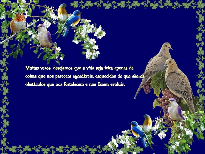 Muitas vezes, desejamos que a vida seja feita apenas de coisas que nos parecem