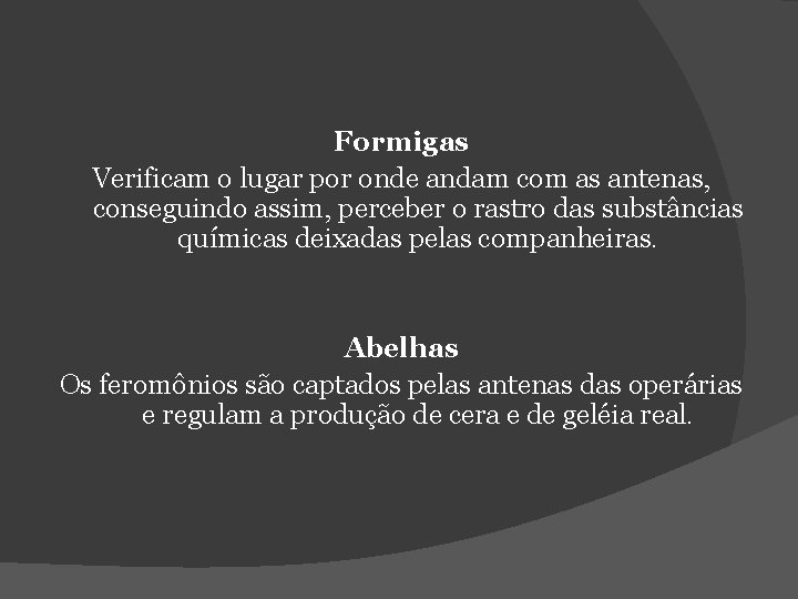Formigas Verificam o lugar por onde andam com as antenas, conseguindo assim, perceber o