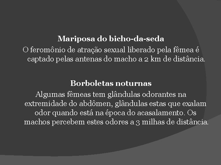 Mariposa do bicho-da-seda O feromônio de atração sexual liberado pela fêmea é captado pelas