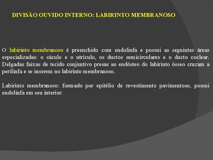 DIVISÃO OUVIDO INTERNO: LABIRINTO MEMBRANOSO O labirinto membranoso é preenchido com endolinfa e possui