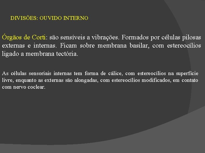 DIVISÕES: OUVIDO INTERNO Órgãos de Corti: são sensíveis a vibrações. Formados por células pilosas