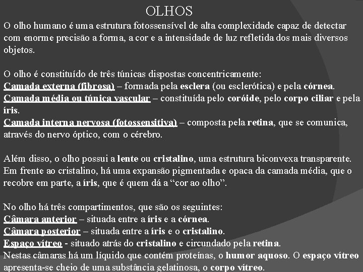 OLHOS O olho humano é uma estrutura fotossensível de alta complexidade capaz de detectar