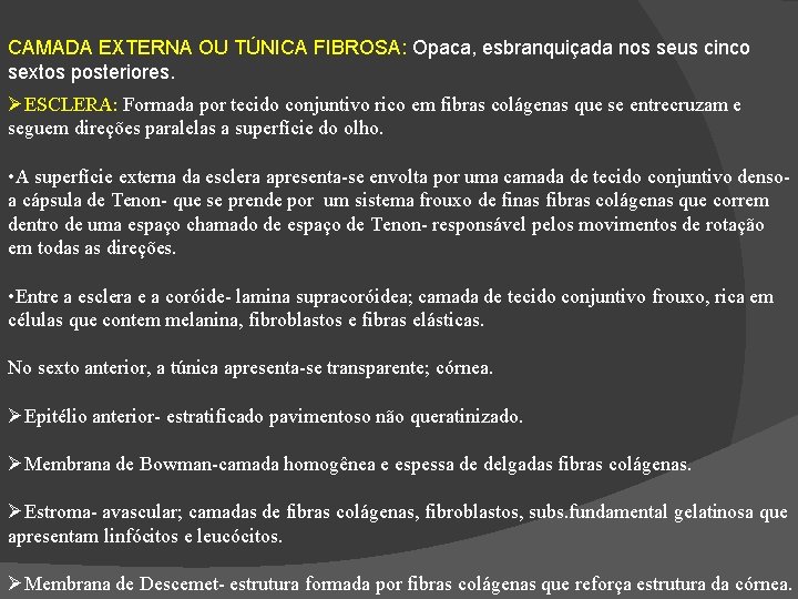 CAMADA EXTERNA OU TÚNICA FIBROSA: Opaca, esbranquiçada nos seus cinco sextos posteriores. ESCLERA: Formada