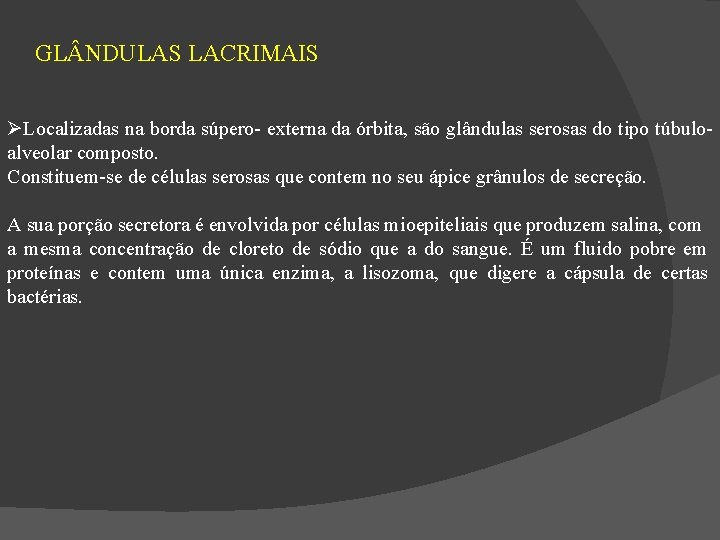 GL NDULAS LACRIMAIS Localizadas na borda súpero- externa da órbita, são glândulas serosas do