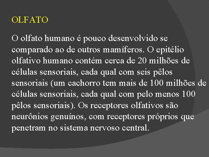 OLFATO O olfato humano é pouco desenvolvido se comparado ao de outros mamíferos. O