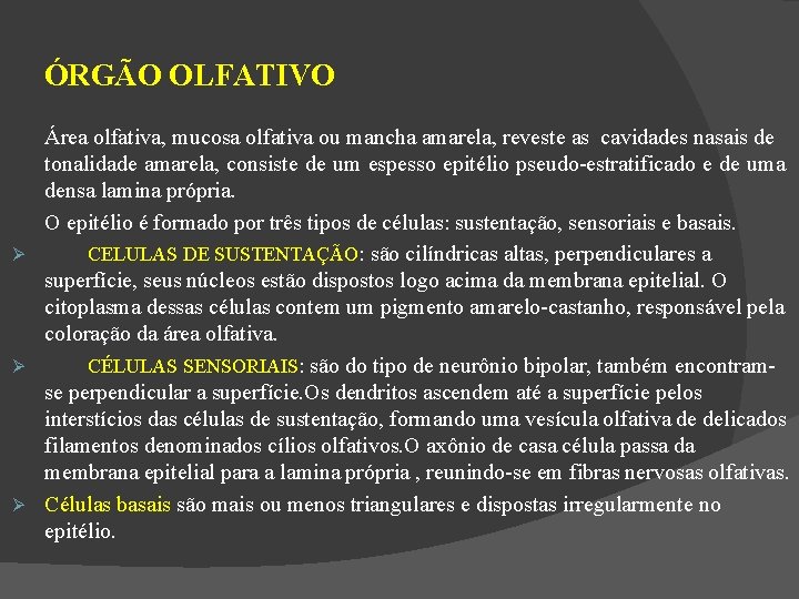 ÓRGÃO OLFATIVO Área olfativa, mucosa olfativa ou mancha amarela, reveste as cavidades nasais de
