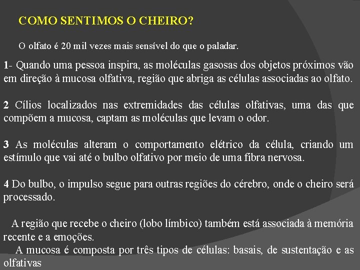 COMO SENTIMOS O CHEIRO? O olfato é 20 mil vezes mais sensível do que