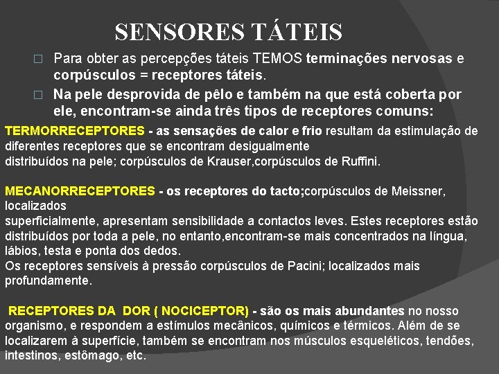 SENSORES TÁTEIS Para obter as percepções táteis TEMOS terminações nervosas e corpúsculos = receptores