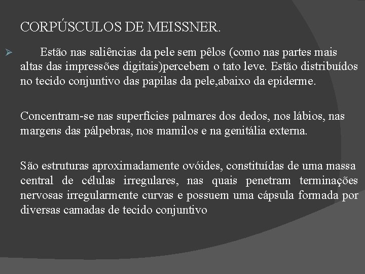 CORPÚSCULOS DE MEISSNER. Estão nas saliências da pele sem pêlos (como nas partes mais