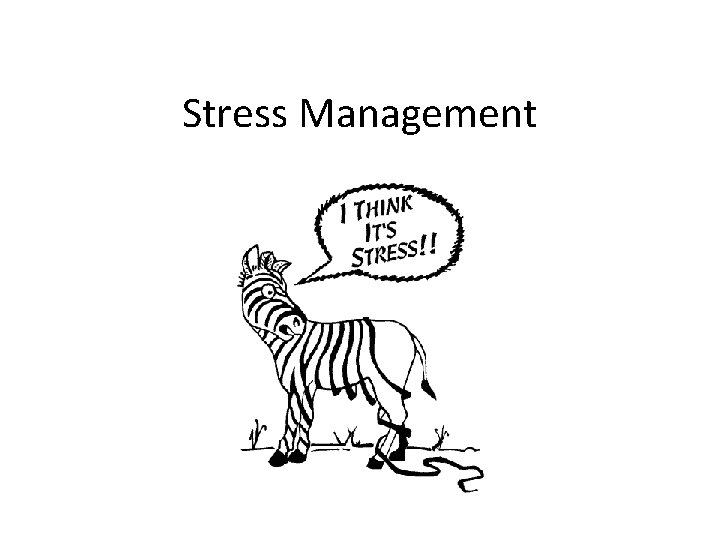 Stress Management 