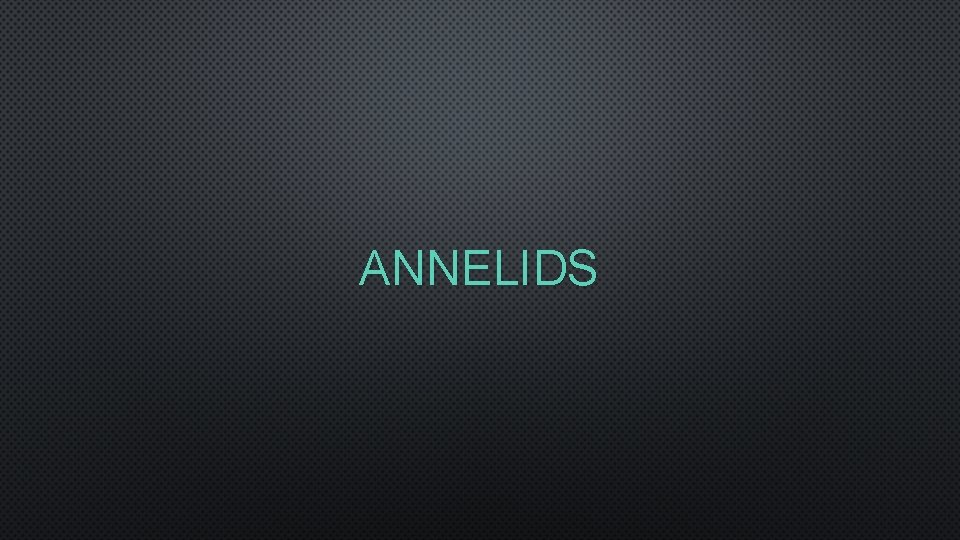 ANNELIDS 