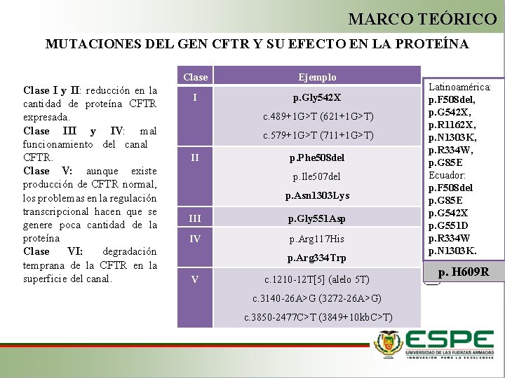 MARCO TEÓRICO MUTACIONES DEL GEN CFTR Y SU EFECTO EN LA PROTEÍNA Clase I