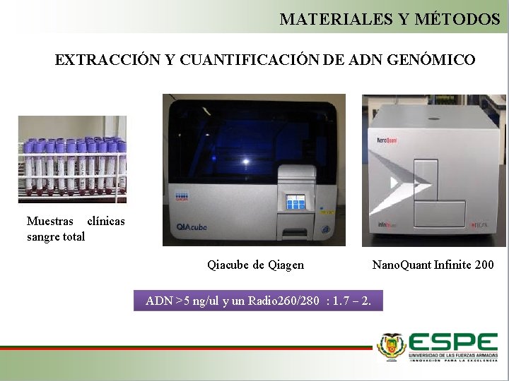 MATERIALES Y MÉTODOS EXTRACCIÓN Y CUANTIFICACIÓN DE ADN GENÓMICO Muestras clínicas sangre total Qiacube