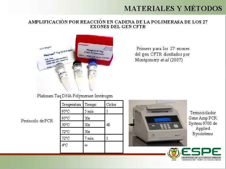 MATERIALES Y MÉTODOS AMPLIFICACIÓN POR REACCIÓN EN CADENA DE LA POLIMERASA DE LOS 27