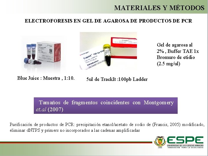 MATERIALES Y MÉTODOS ELECTROFORESIS EN GEL DE AGAROSA DE PRODUCTOS DE PCR Gel de