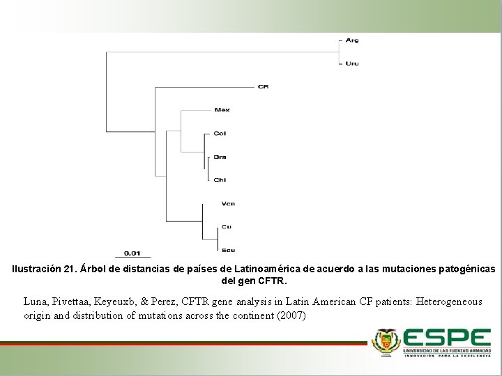 Ilustración 21. Árbol de distancias de países de Latinoamérica de acuerdo a las mutaciones