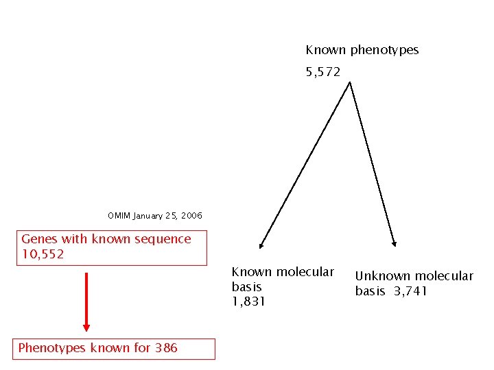 Known phenotypes 5, 572 OMIM January 25, 2006 Genes with known sequence 10, 552