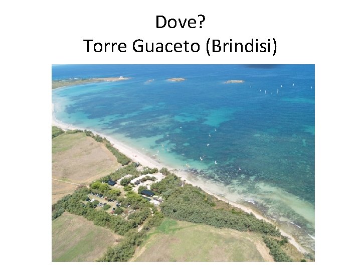 Dove? Torre Guaceto (Brindisi) 