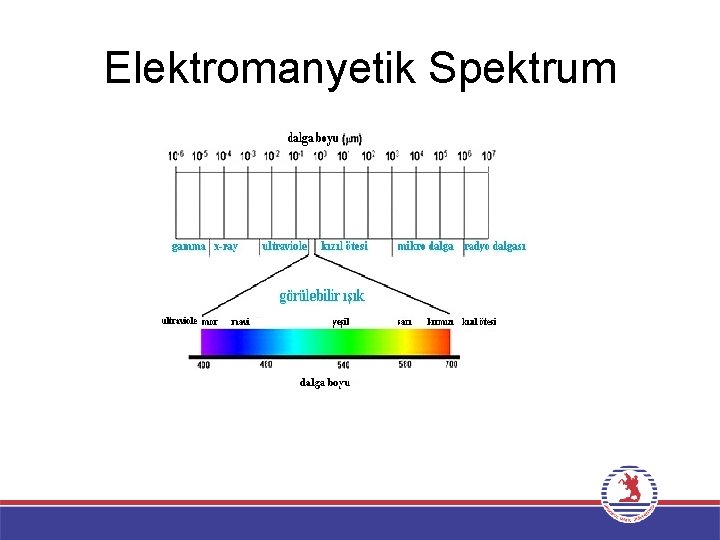 Elektromanyetik Spektrum 