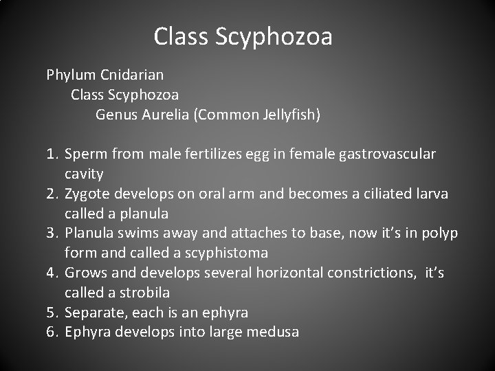 Class Scyphozoa Phylum Cnidarian Class Scyphozoa Genus Aurelia (Common Jellyfish) 1. Sperm from male