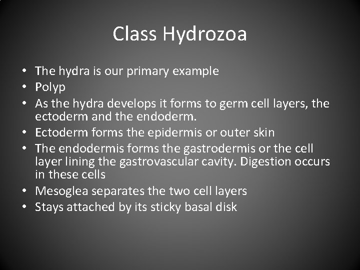 Class Hydrozoa • The hydra is our primary example • Polyp • As the Class Hydrozoa • The hydra is our primary example • Polyp • As the