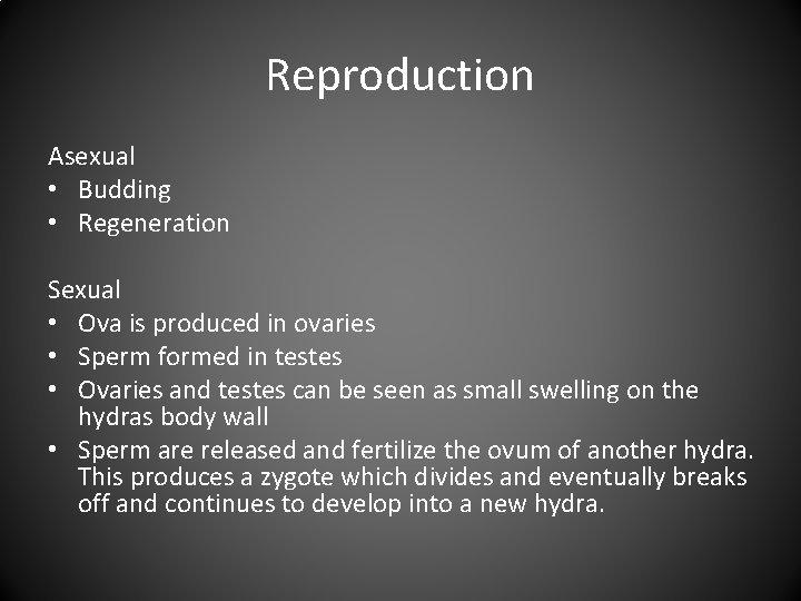 Reproduction Asexual • Budding • Regeneration Sexual • Ova is produced in ovaries • Reproduction Asexual • Budding • Regeneration Sexual • Ova is produced in ovaries •