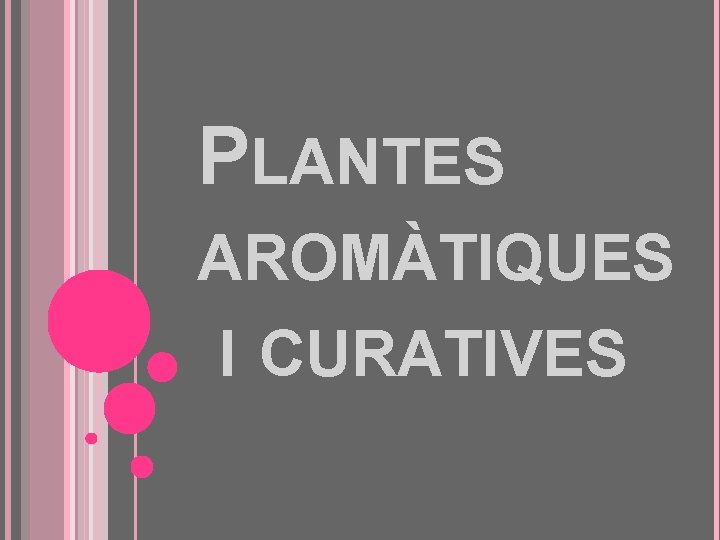 PLANTES AROMÀTIQUES I CURATIVES 